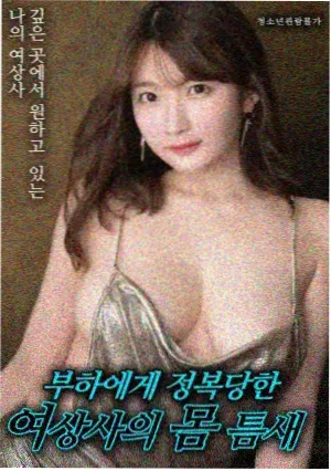时间旅行者的妻子 大地电影中文版